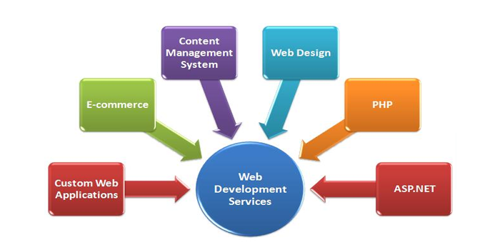 Web development Company Firozpur